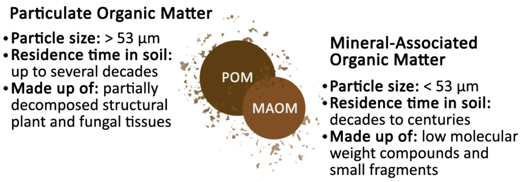Particulate Organic Matter (POM):
Particle size: > 53 micrometers. 
Residence time in soil: up to several decades. 
Made up of: partially decomposed structural plant and fungal tissues.

Mineral-Associated Organic Matter:
Particle size: < 53 micrometers. 
Residence time in soil: decades to centuries.
Made up of: low molecular weight compounds and small fragments.